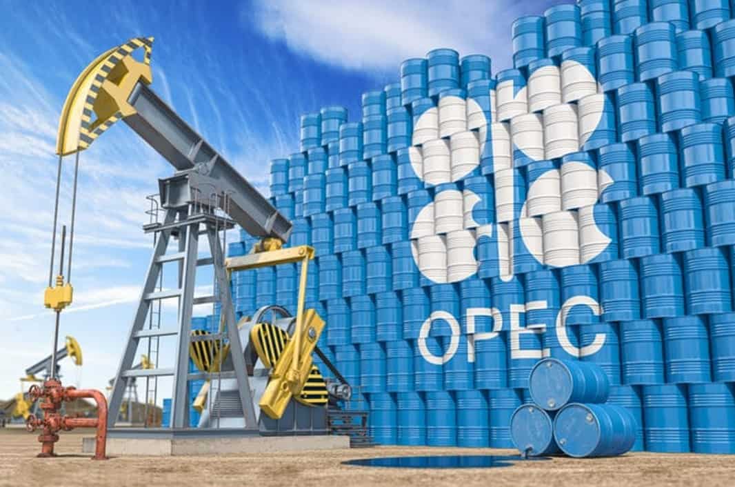 Commodities Live: Important Meeting Of OPEC+ On December 4; Will There Be A Decision On Reducing Oil Production? 
