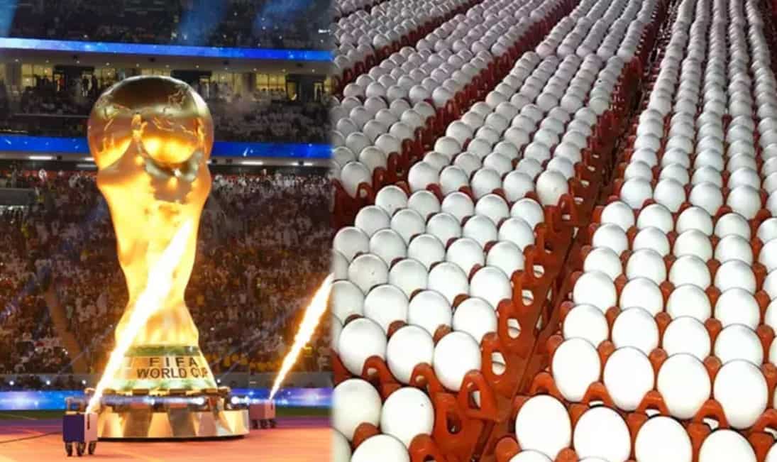 Why Qatar Is Buying More Eggs From India This World Cup? Which Egg Company To Benefit?