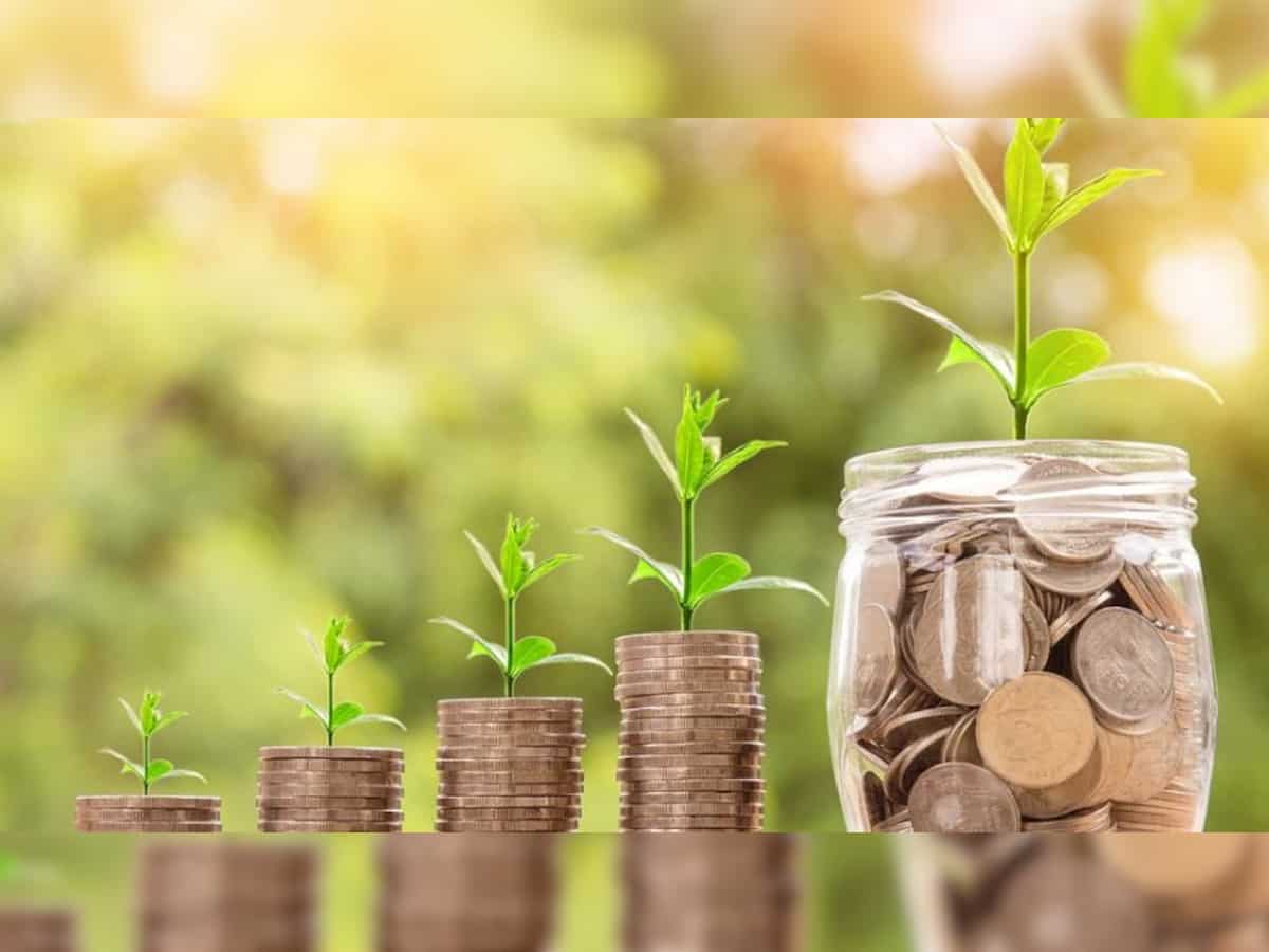 Bajaj Hindusthan Sugar share price locked at upper