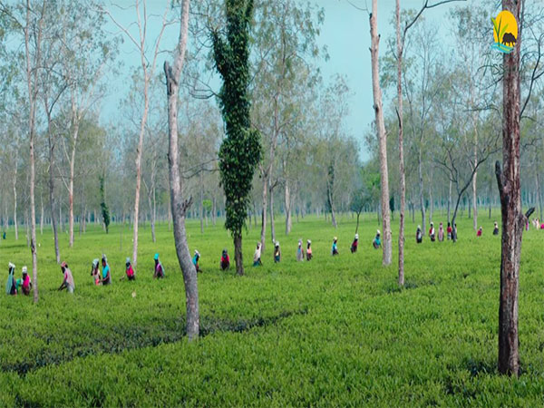 Tourism sector gets industry status in Assam