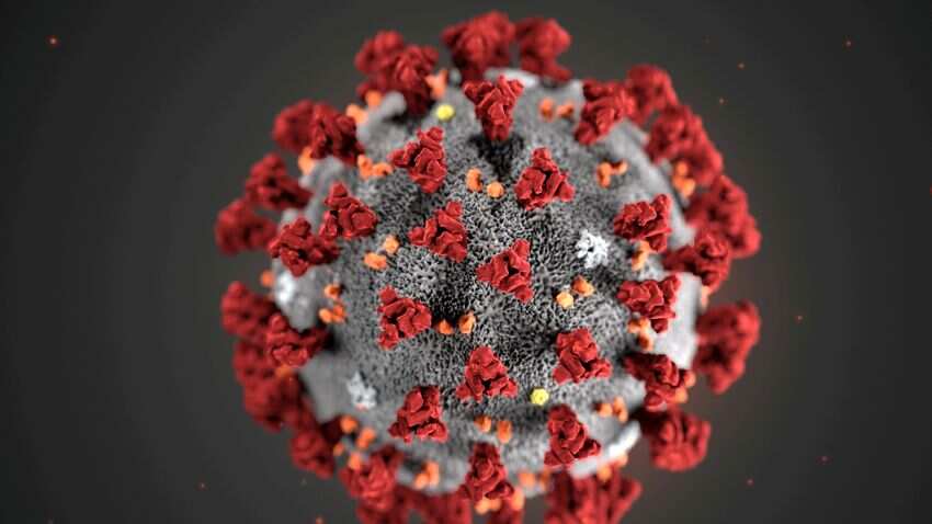 What is BF.7 Covid Variant? 4 cases reported in India - check symptoms, precaution, treatment and vaccine | Covid-19 News Today 