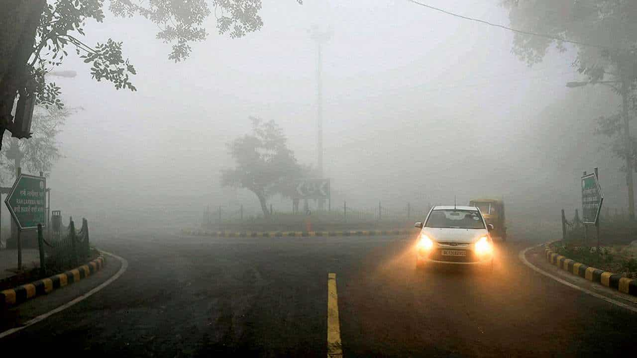 Weather update Biting cold, dense fog engulfs north India; visibility