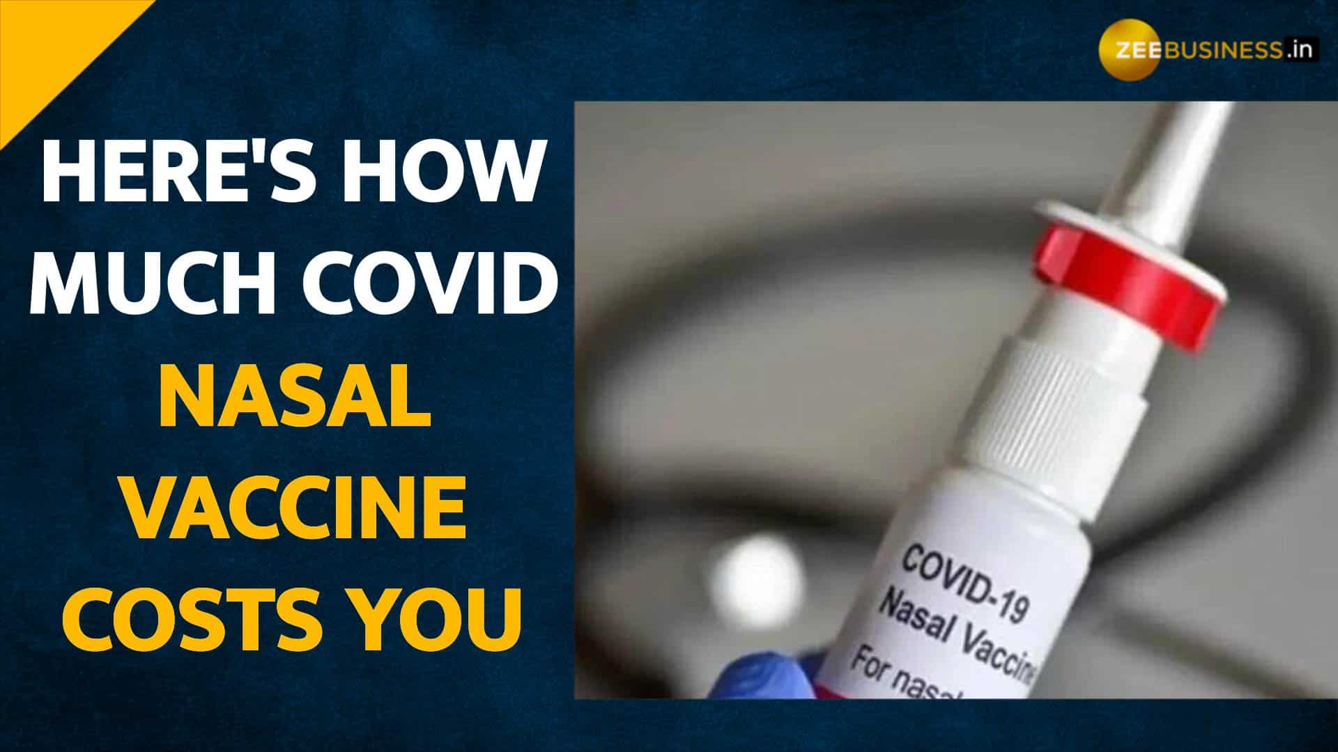 Bharat Biotech announces price of nasal vaccine - Check How Much It Costs?