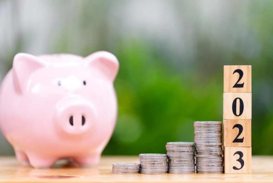 Money Guru Aatmanirbhar Nivesh: Where To Invest In 2023? Where To Invest Money For Good Returns? 