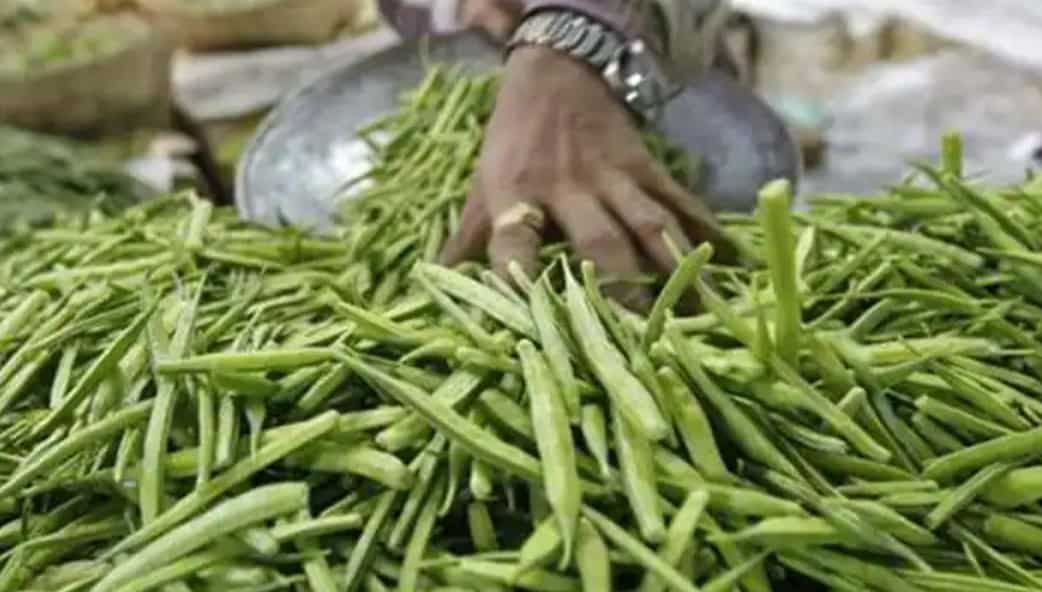 Commodities Live Guar Gum Futures Hits Upper Circuit Of 6, Price