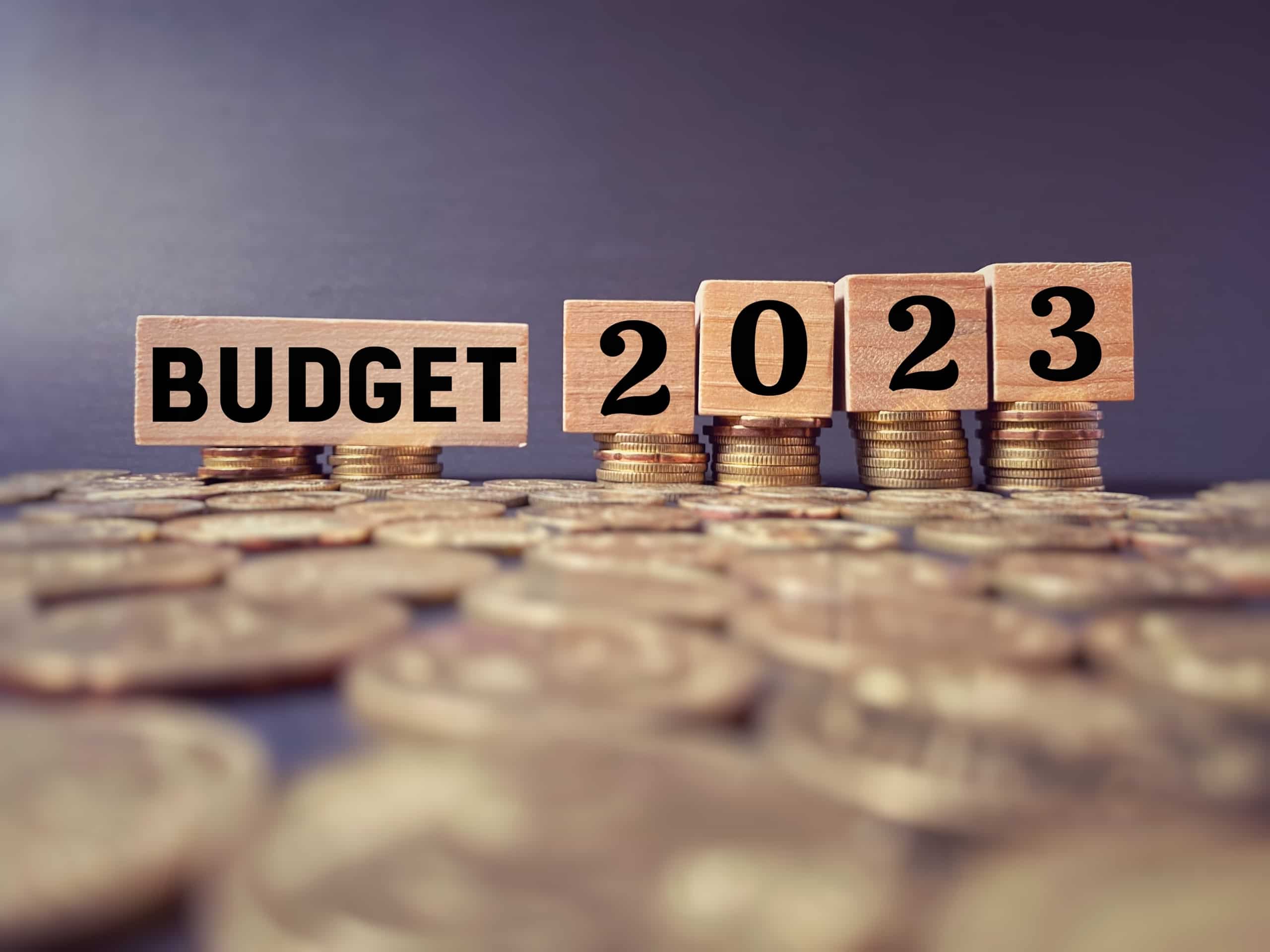Debt Linked Savings Scheme May Be Announced In Budget 2023 | Watch To Know  More | Zee Business