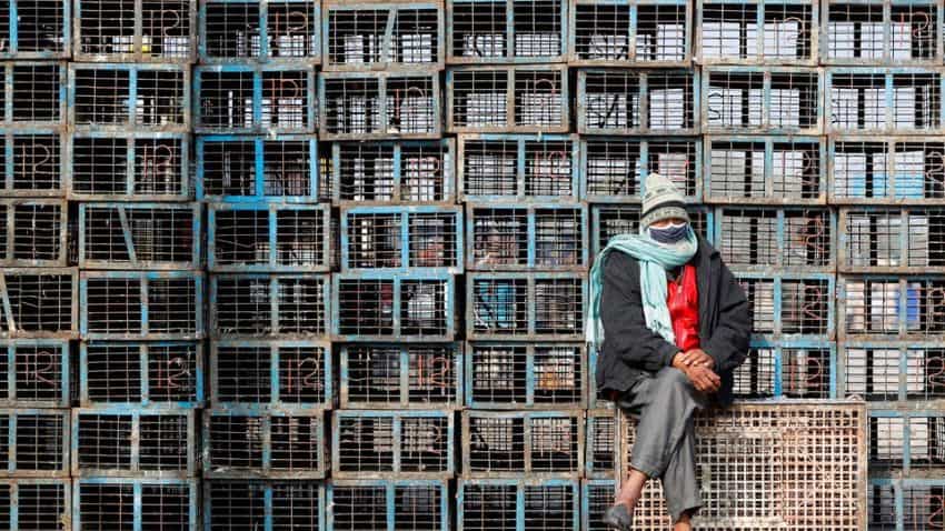 Bird flu in Kerala latest news: Around 1,800 chickens died of infection ...