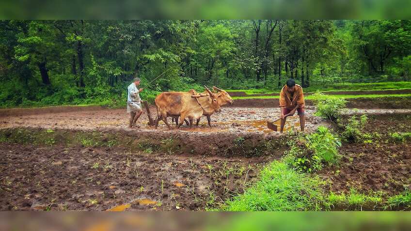 Budget 2023: PM Kisan Samman Nidhi scheme financial aid to be raised to Rs 8,000, say sources
