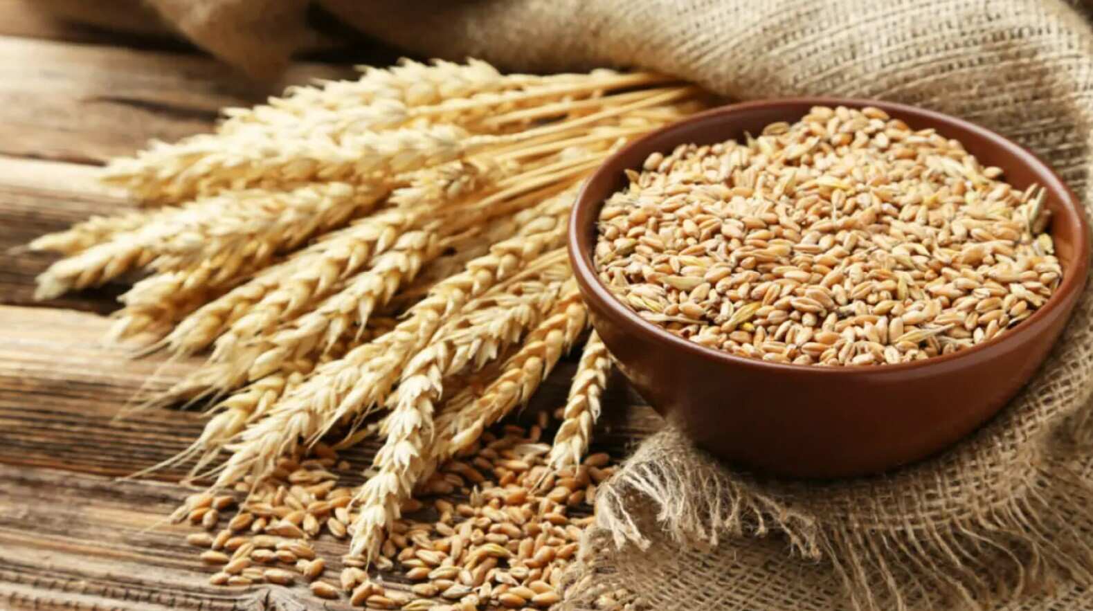 Commodities Live: Govt To Take Decision On Lifting Wheat Export Ban In April | Zee Biz Exclusive