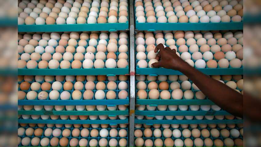 Egg prices touch record high: Here's what causing the surge 