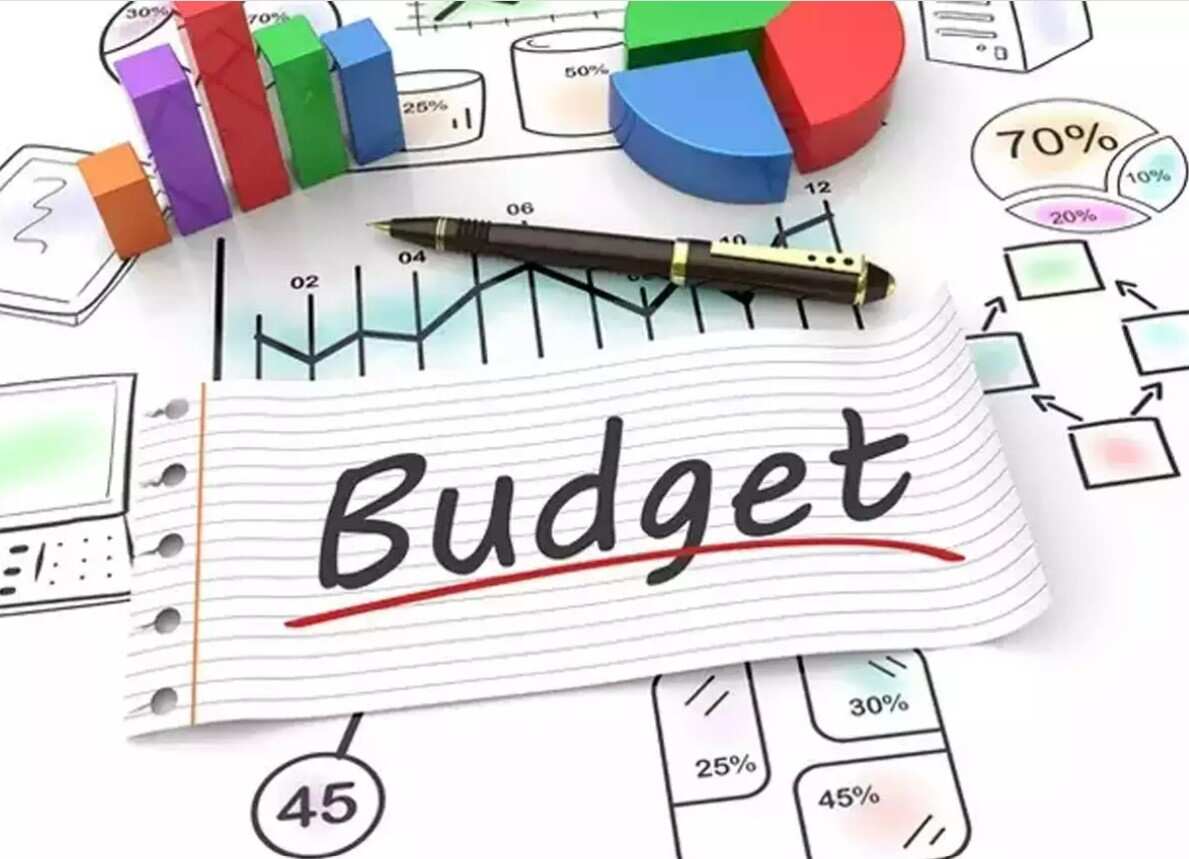 Budget 2023: Buy These Important Sectors In This Budget 2023, What Are The Important Triggers? Explains Anil Singhvi