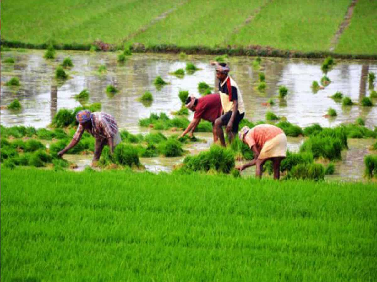 Zee Biz Budget 2023: How Was The Budget For Agriculture? Explains Mrituenjay Kumar Jha