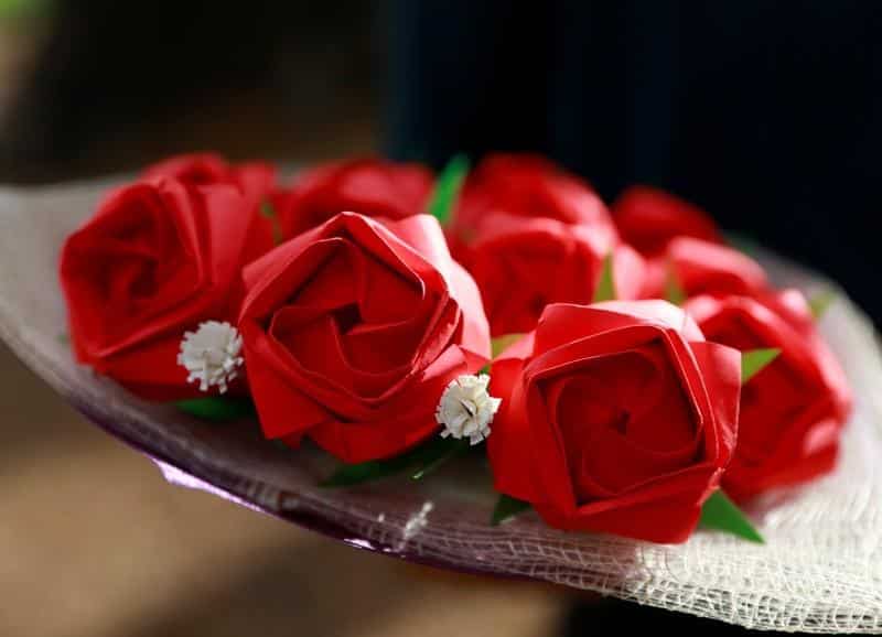 Rose Day 2023: Celebrate first day of Valentine's week with special wishes, messages, quotes and Whatsapp status