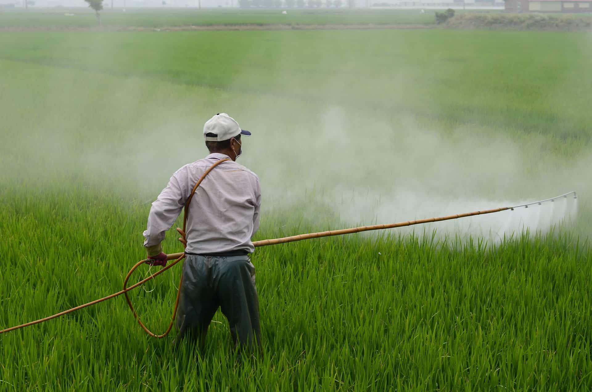 Over 3,600 firms prosecuted for selling low-quality pesticides in last 5  yrs: Govt | Zee Business