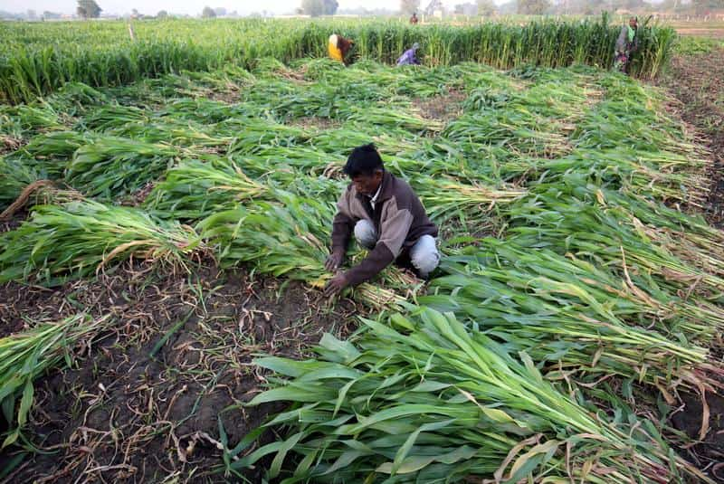 PM Kisan 13th installment update: Link Aadhaar with bank account before February 10 to receive Rs 2,000