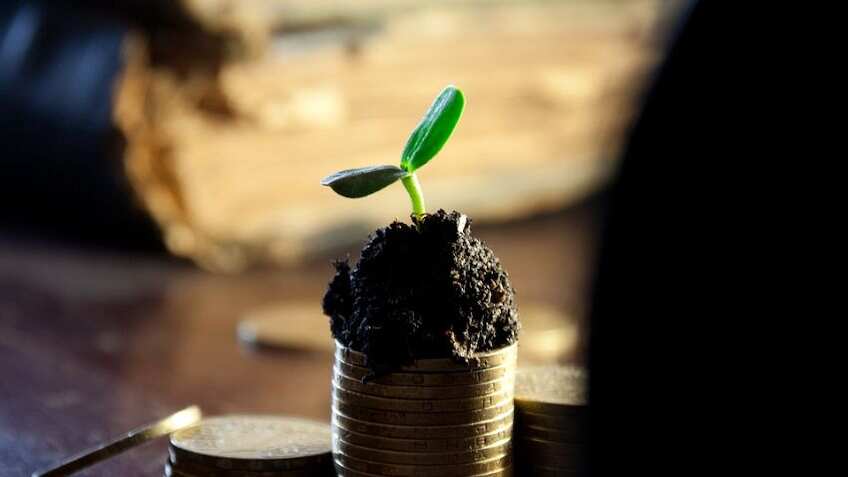 Ujjivan Small Finance Bank dividend 2023: Check amount and record date 