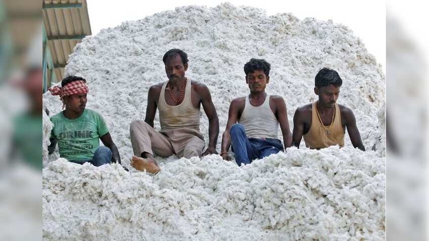 Centre approves Quality Control Order for mandatory certification of cotton bales; to be notified soon