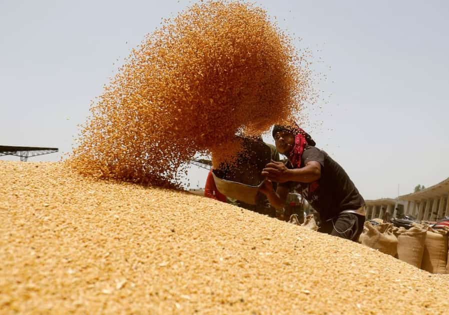 Centre to sell 20 lakh tonnes of wheat in open market from buffer stock to cool prices of atta