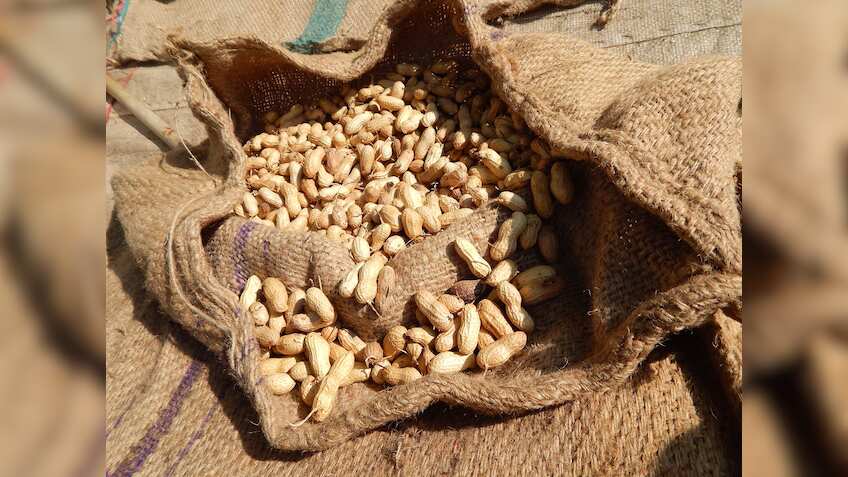 Govt approves extension of mandatory jute packaging norms: Sources