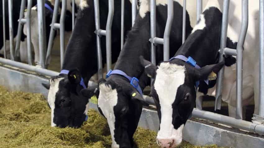 Rupala to inaugurate startup conclave for livestock & dairy sectors on Tuesday