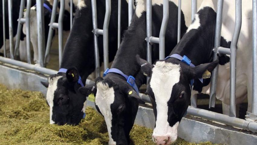 Rupala to inaugurate startup conclave for livestock & dairy sectors on Tuesday