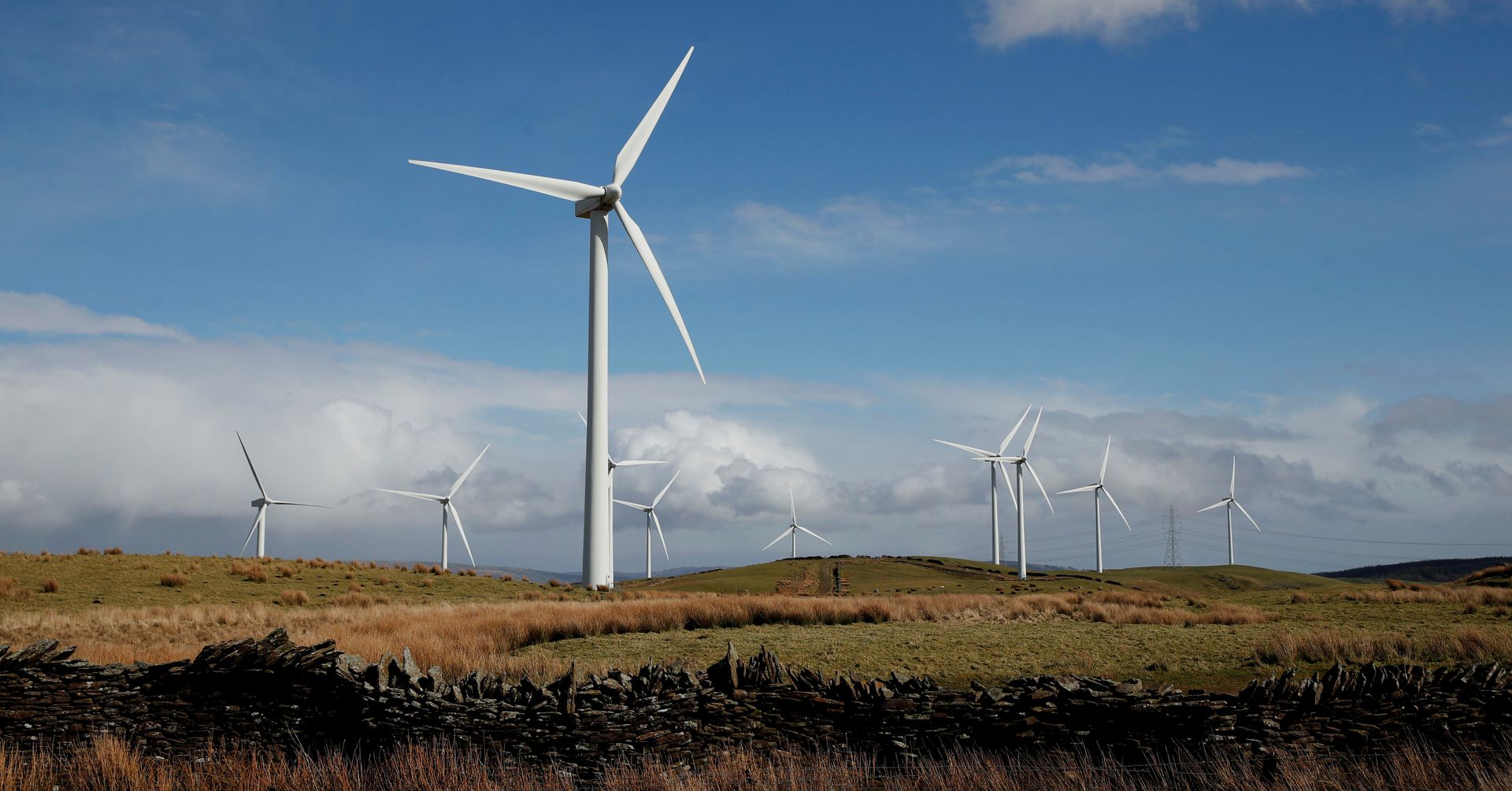 Tata Power Renewable gets Rs 2,000 crore infusion from GreenForest