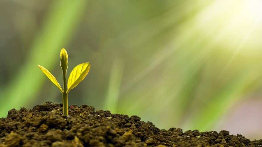 65% women prefer investing in real estate, 20% stocks, 8% gold and 7% FDs: Anarock survey