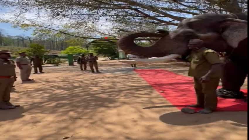 Emotional farewell of a Tamil Nadu elephant left people teary-eyed