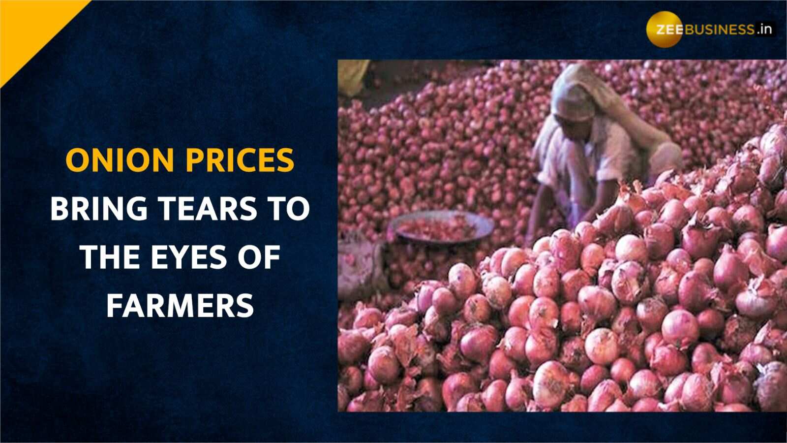 Onion Price Crash In India Why Indian farmers have tears in their eyes