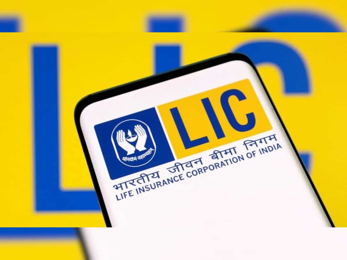 LIC&#039;s debt exposure in Adani group companies dips