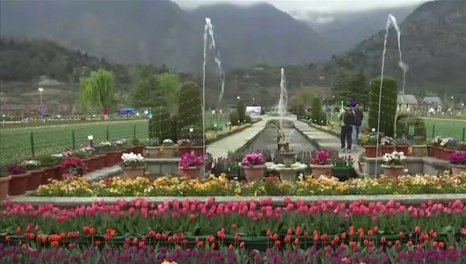 Kashmir Tulip Garden: Area