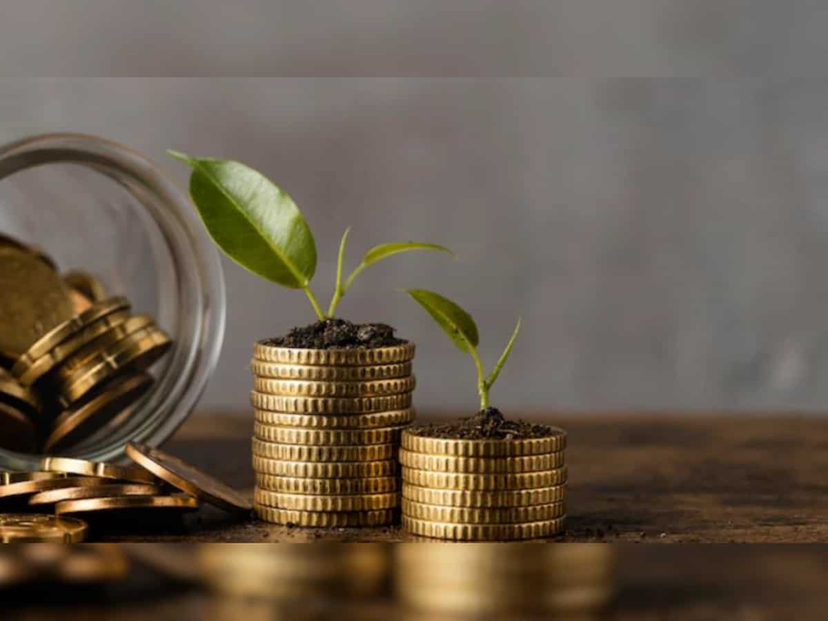 Dividend Stocks: GAIL, NALCO, 6 other stocks go