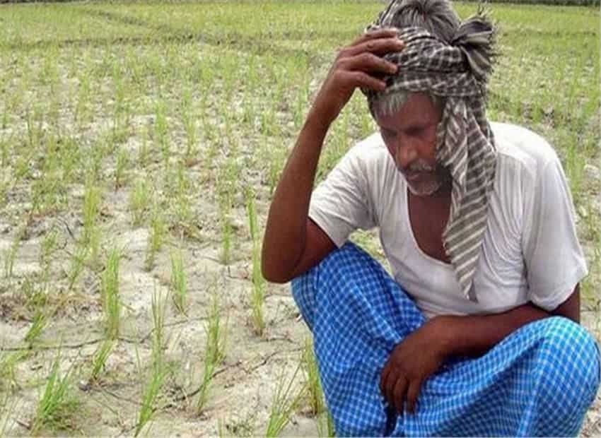 India 360: As Unseasonal Rains Destroys Farmers' Crops Across India, How Will 'BIMA' Help Them To Overcome Losses?