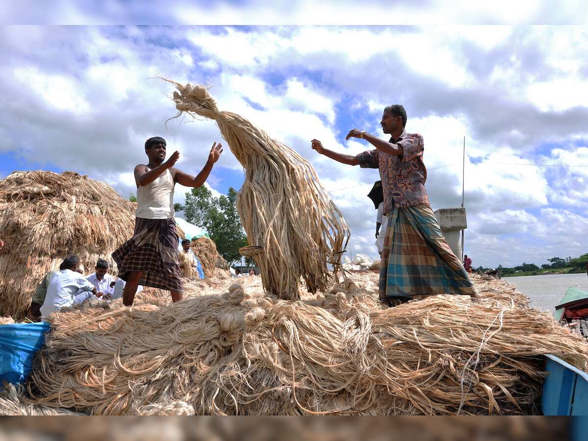 Cabinet raises Minimum Support Price for raw jute