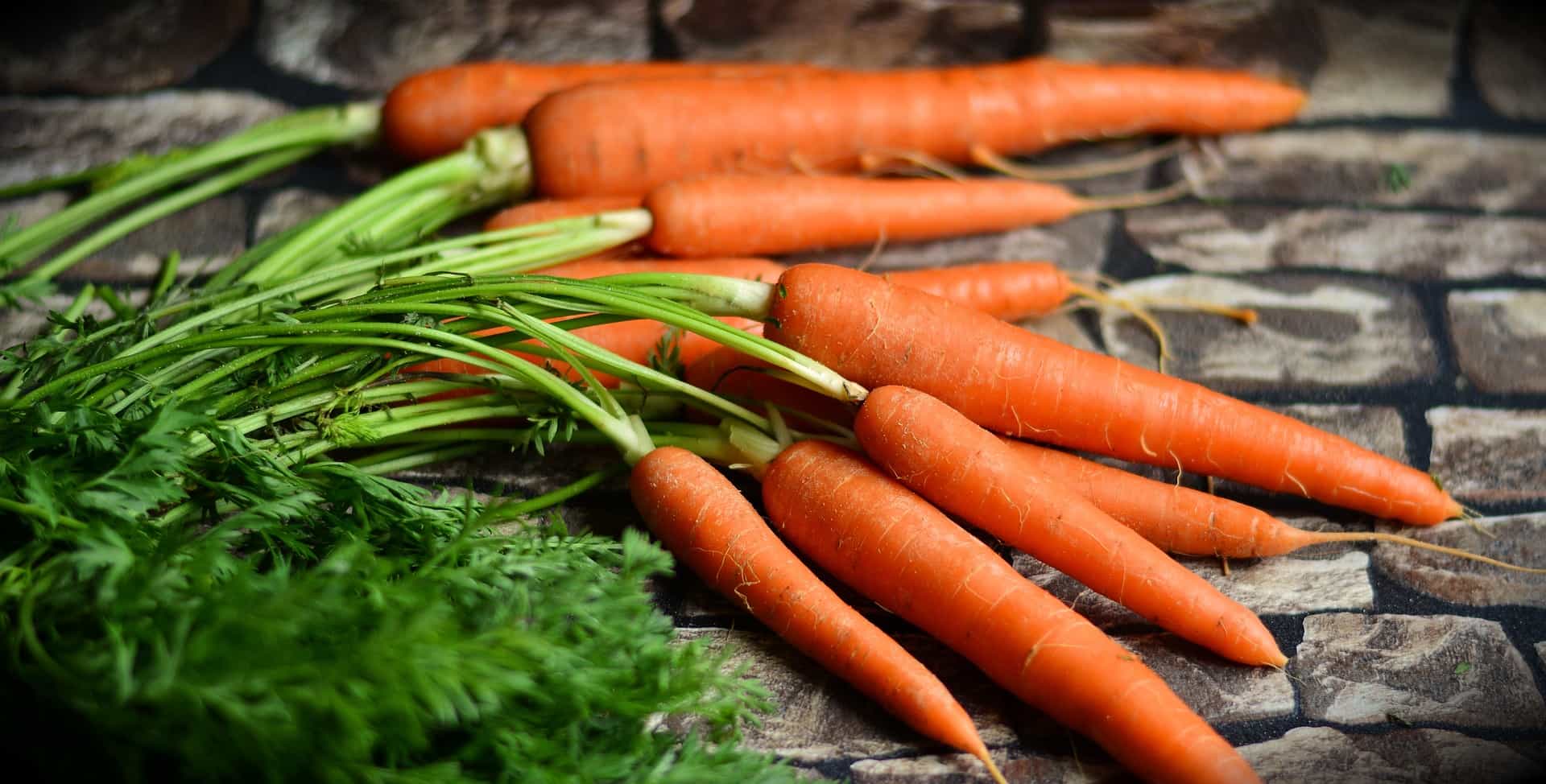 International Carrot Day From healthy eyesight to weight loss 5