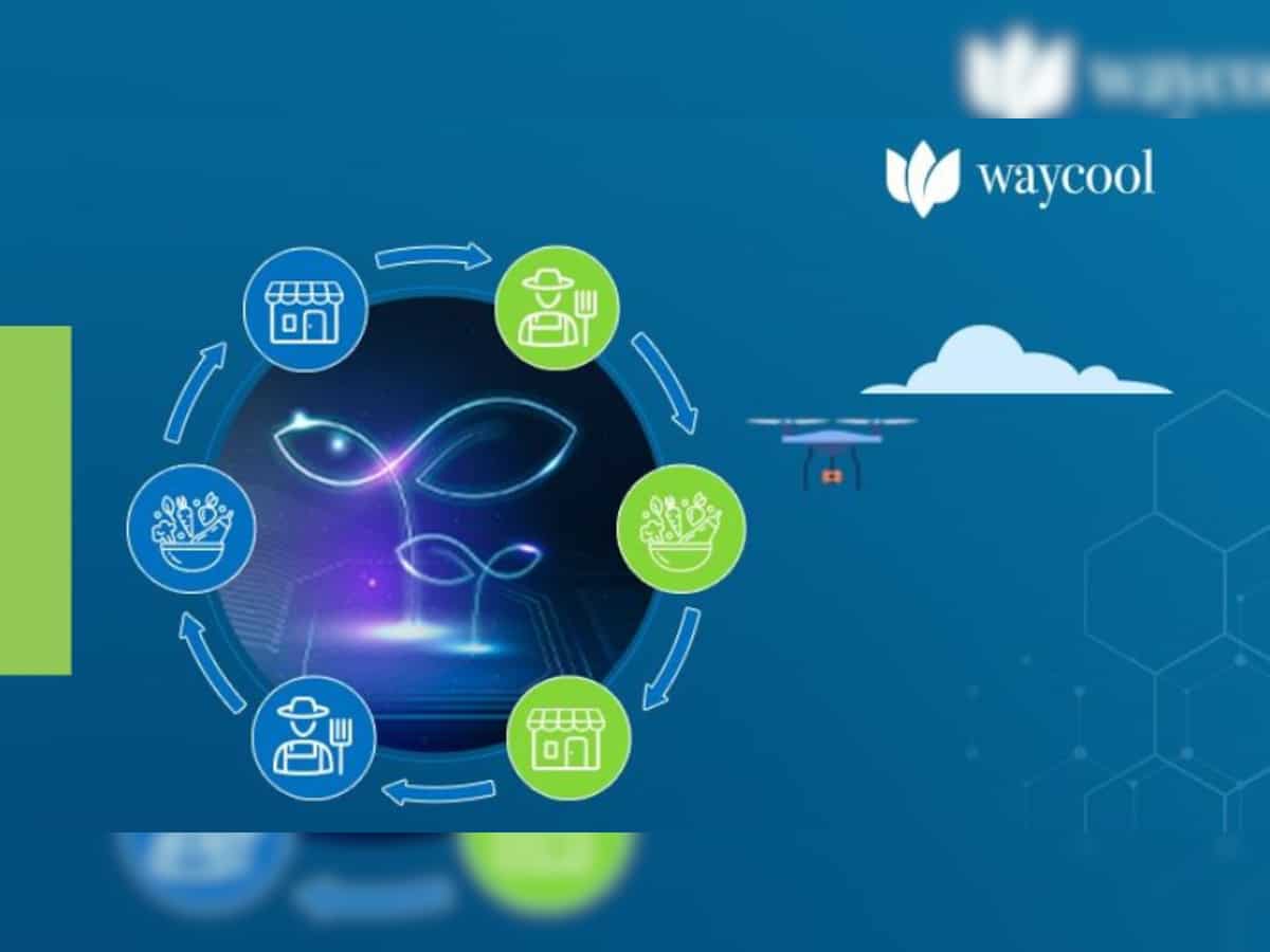 Agri-commerce startup WayCool looking to become Rs 6,000-crore entity ...