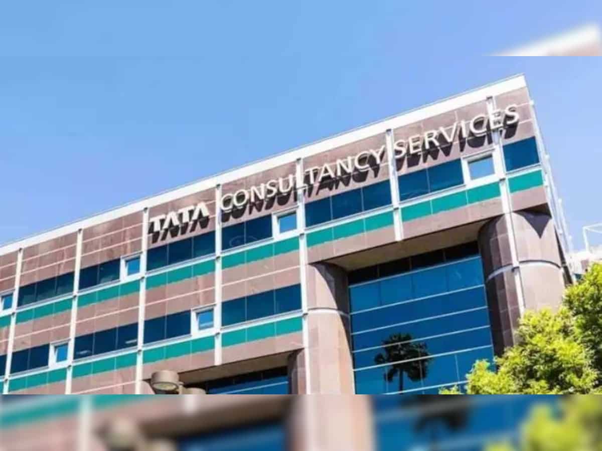 TCS Results: IT major reports major growth in