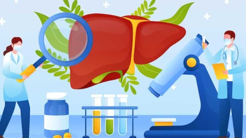 World Liver Day 2023 Quotes Theme Functions Diseases - vrogue.co