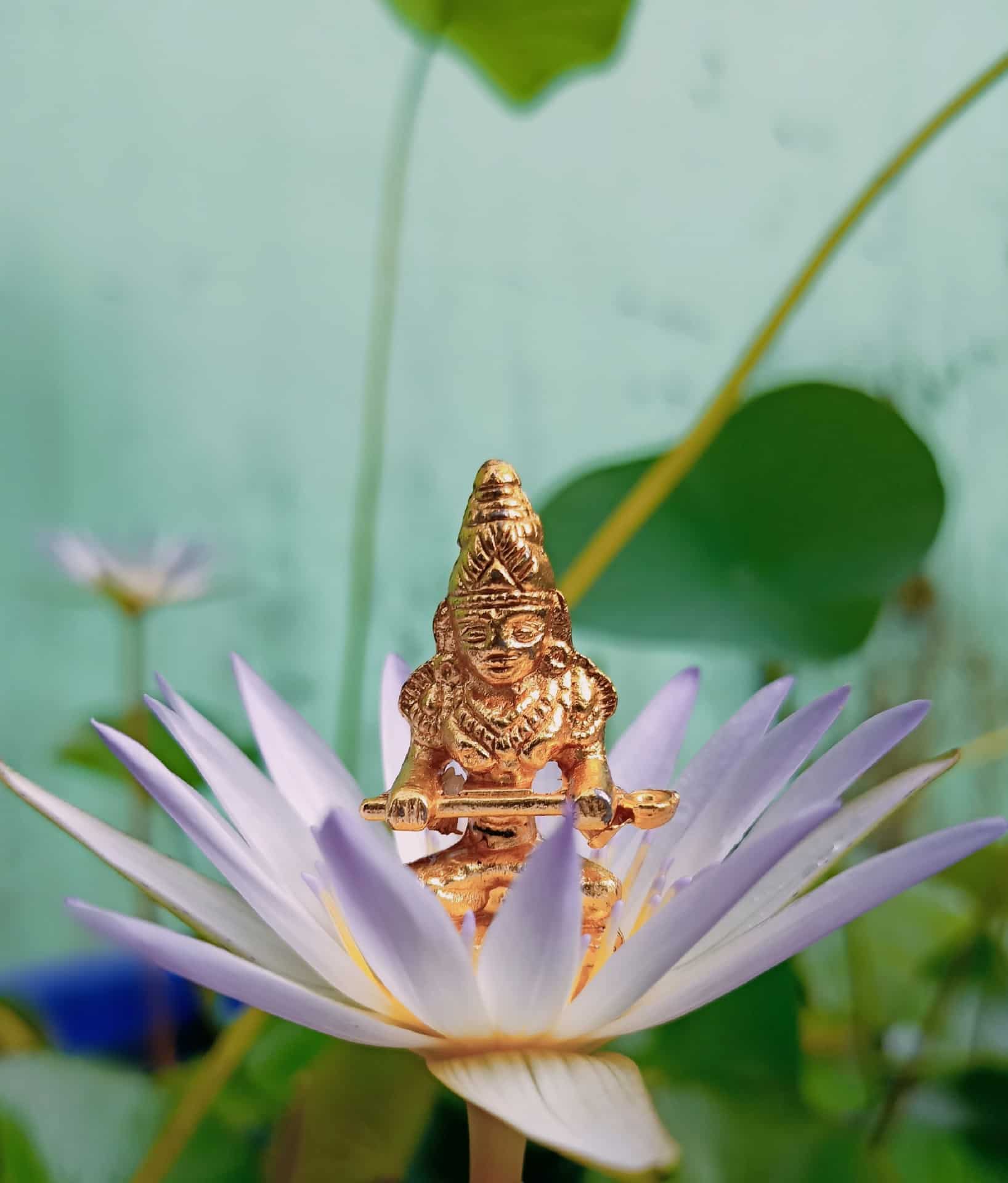 Guru Pushya Yoga 2023 Date, time, significance and other details here