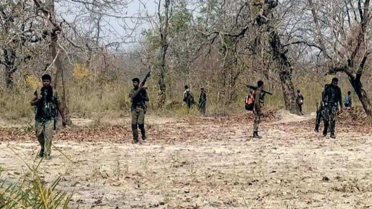 Dalam Commander Among 3 Naxals Killed In Encounter With Police In Maharashtra's Gadchiroli