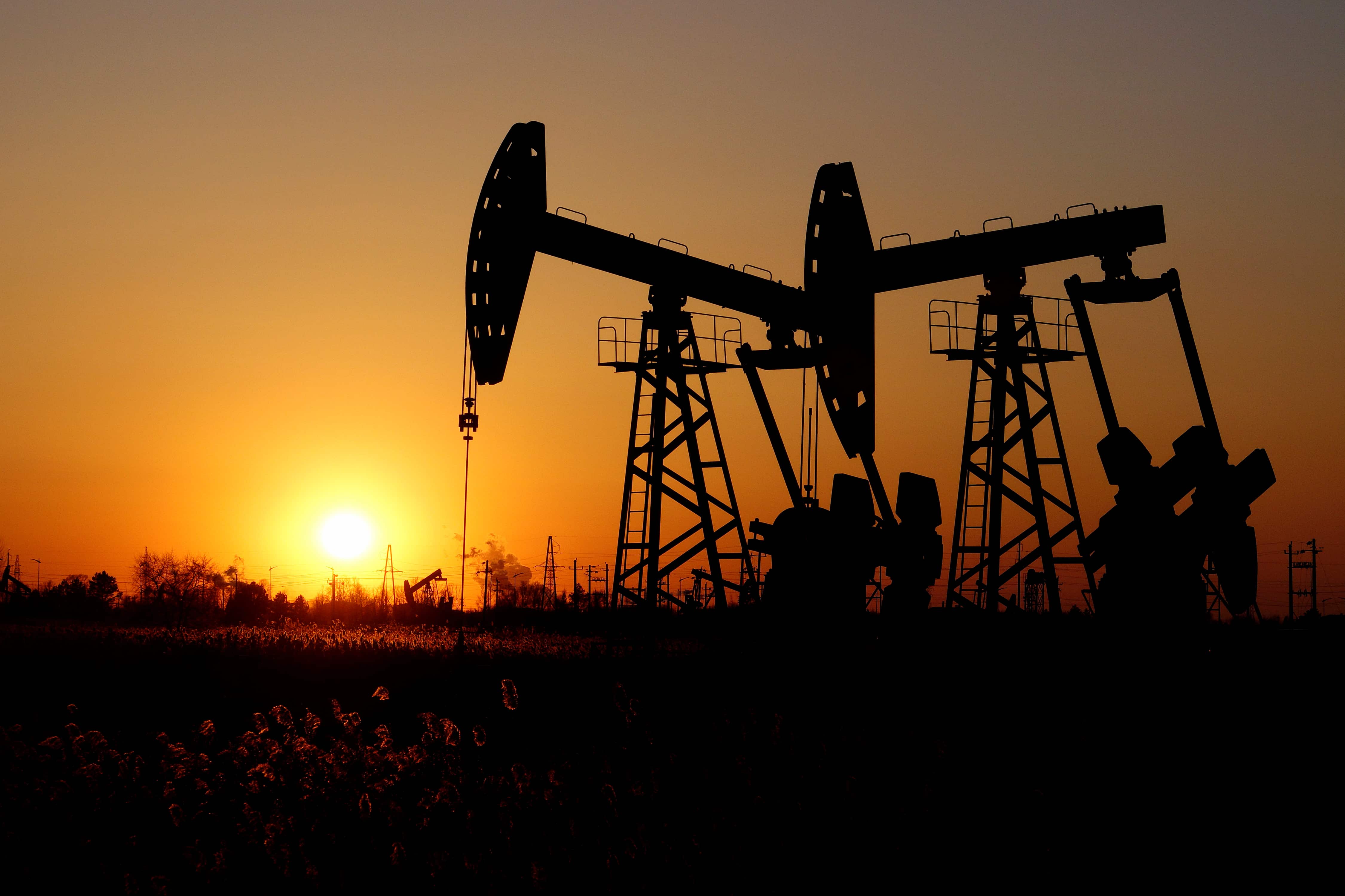 Read more about the article Crude oil prices drop 1% after US data points to further rate hikes