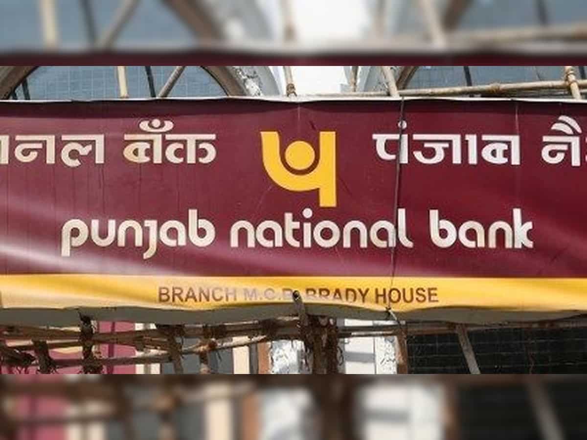 PNB Q4 results preview: PSU bank's profit likely to soar 9x on double-digit loan growth