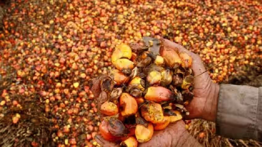 Godrej Agrovet, SBI partner to offer loans to oil palm farmers