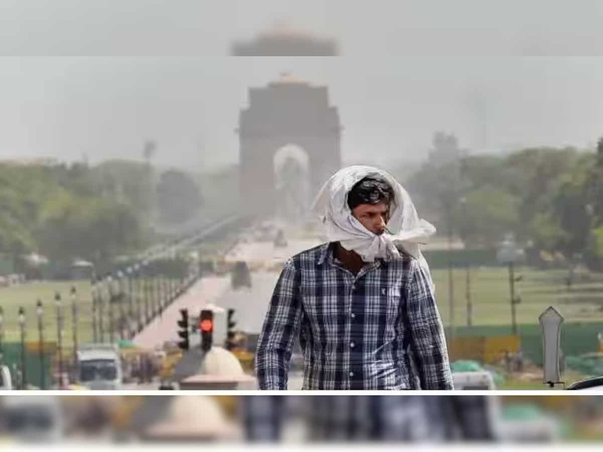 Delhi Weather: Heatwave scorches Delhi as mercury soars to 46.2 degree 