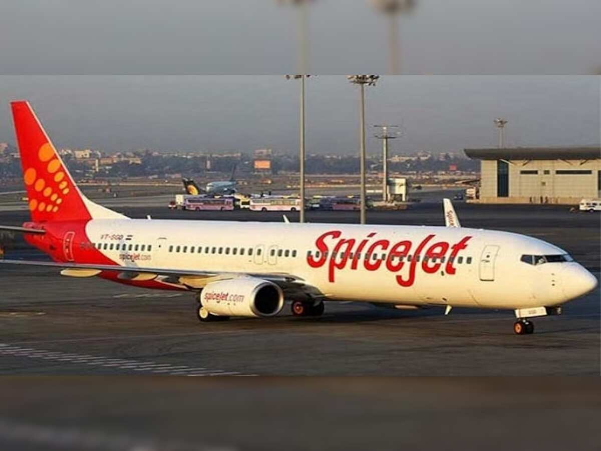 SpiceJet shares rise over 7% after falling for six straight sessions; here's why