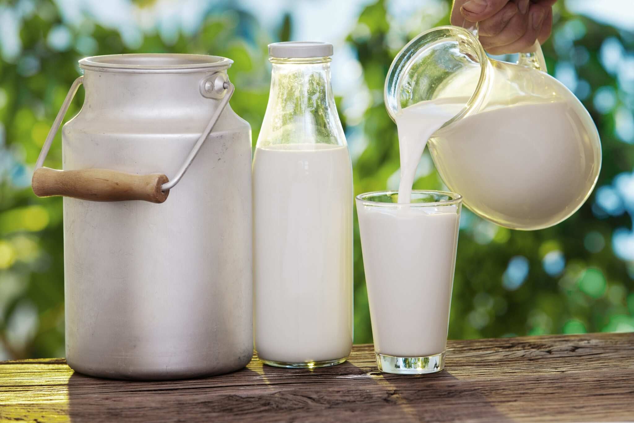 Quality Check of Milk Products: FSSAI to Collect Samples Nationally at District and Block Levels