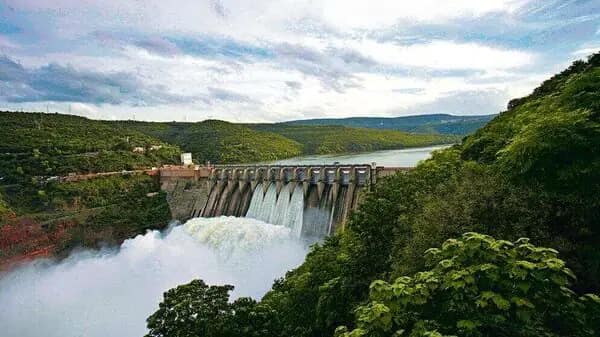 Maharashtra: Water stock in dams of Nashik down to 30%