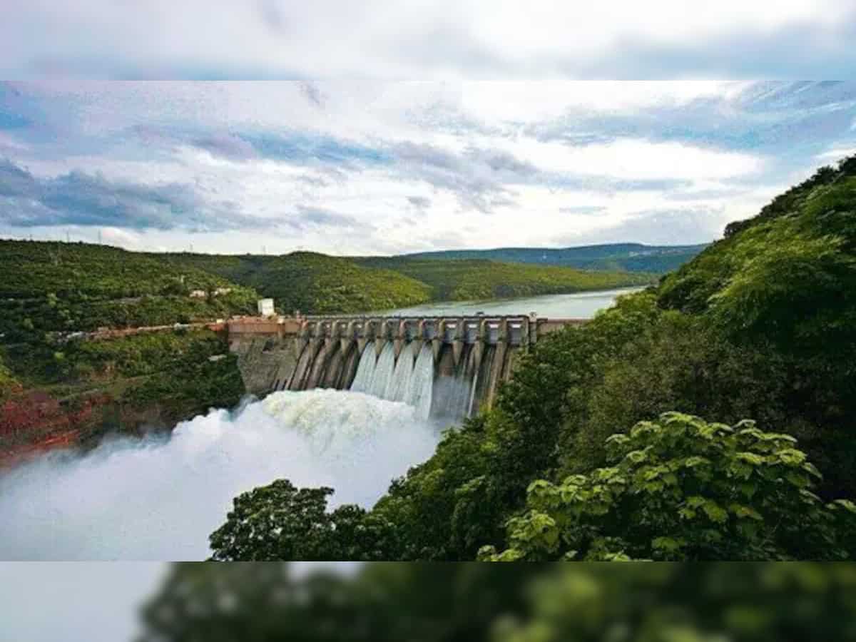 Maharashtra: Water stock in dams of Nashik down to 30%
