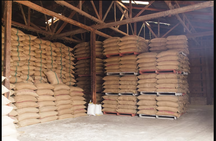 Cabinet approves committee to facilitate 'world’s largest' grain storage plan in cooperative sector