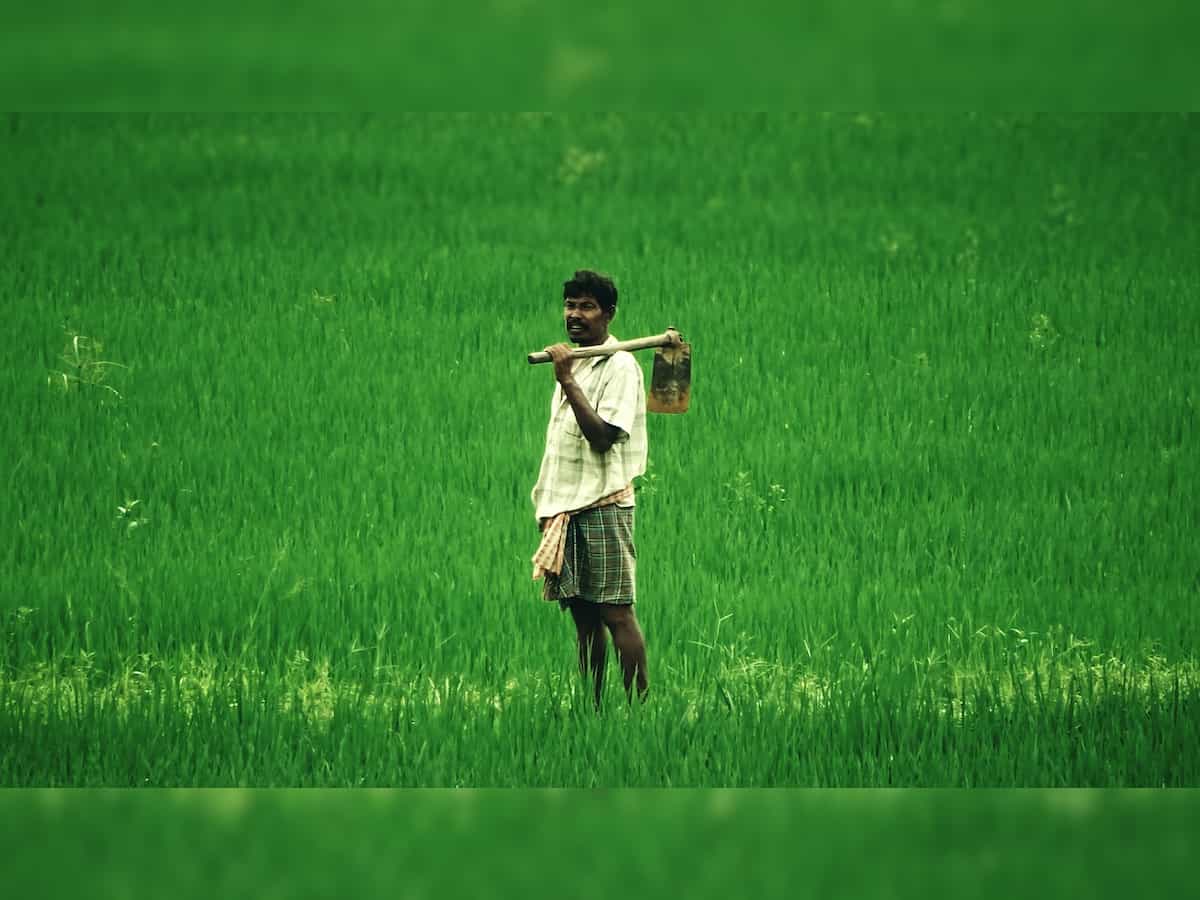 Andhra Pradesh CM disburses Rs 5,500 each to 52 lakh farmers under YSR Rythu Bharosa-PM Kisan scheme